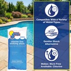 In The Swim Chlorine-free Pool Shock-oxidizer     24 X 1 Pound Bags