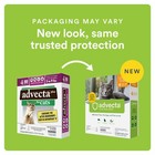 Plus Flea Prevention For Cats Cat And Kitten Treatment   Control Small And La   