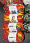 Bernat Softee Chunky Yarn Lot  School Yard  Dad s Scarf  Redwood  Light Blue