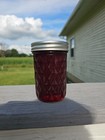 Homemade Wild Grape Jelly  8 Ounces 
