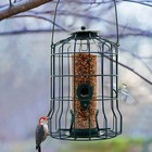 Hanging Wild Bird Feeder Squirrel Proof Seed Food Yard Garden Outdoor Decoration
