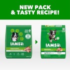 Iams Proactive Health Minichunks Adult Dry Dog Food With Real Chicken  30 Lb