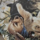 Cocker Spaniel Puppies Plate 8 Inches