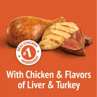 5 Pack Purina Friskies Party Mix Original Crunch Cat Treats  20 Oz Canister