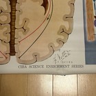 Vtg Ciba Frank Netter Medical Art Optometry Eye Vision Chart Poster 43 X 29