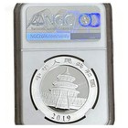 2019 China Silver Panda 30g  999 Silver 10 Yuan Ngc Ms70 First Day Issue