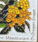 Jg a Oregon  western Meadowlark oregon Grape  20c 1982 Stamp Lapel Pin