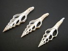 6 Center Cut Spindle Shells 4-5  White Seashell Beach Crafts Nautical Decor 