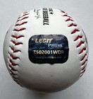 Steven Kwan Signed   Autographed Baseball Coa Cleveland Guardians Mlb