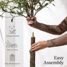Best Choice Products 5 Ft  Artificial Olive Tree