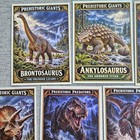 Set 10 Card Lot  dinosaurs   Prehistoric Creatures Tyrannosaurus Rex Stegosaurus