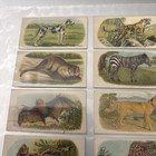 Lot Of 18 Millbank Tobacco Cards - Vintage - Printed In England - Great Cond 