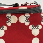 Disney Baby Bottle lunch Bag Mickey Mouse Insulated Two Compartments 8 5 hx6 5 w