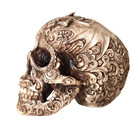  Skull With Dragon  Figurine Statue Skeleton Halloween