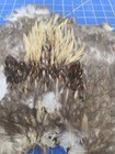 Bl86 Rooster Chicken Feathers Body Pelt Skin