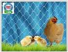 Poultry Netting 8  Baby Chicks Chickens Quail Duck Pen  Protective Plant Net 1  