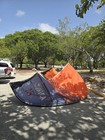 2024 Cabrinha Contra 15m Kite  - Used Only 4 Sessions
