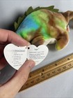 Ty Beanie Babies Baby Iggy The Iguana 1997 Rainbow Tie Dye