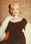 Marilyn Monroe Owned   Worn White Faux Fur Wrap From Sydney Guilaroff