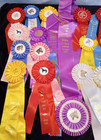 25 Horse Show Ribbons Awards From Wisconsin