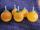 Rare  Vintage 1960s 6pc Florida Silver Springs Weeki Wachee Orange Souvenir Set