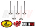 Yfz450 Yfz 450 Stock Oem Replacement Kibblewhite Intake Exhaust Valves Red Seals