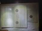 1996 Westpoint Roosevelt Dime I Mint Cello With Coa Free Shipping