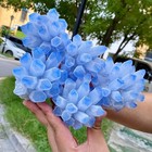 Natural Blue Crystal Cluster Flower Shape Mineral Specimen Healing - 4 9lb