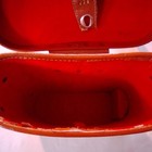 Vintage Brown Leather Hard Binocular Case bag W  Shoulder Strap  Metal Hooks