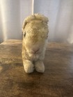 Vintage Steiff Mohair Rabbit