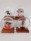 Set Of 4 Vintage Lucite Fishtank Paperweight  Aquarium Artist Signed Wald