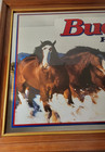  rare  1995  Budweiser Clydesdale Mirror King Of Beers  52   X 28 