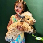 Uoozii 20in 4lb Highland Cow Weighted Plush  Microwaveable Heating Pad  Unscente