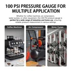 1 Inch Mini Pressure Gauge 0-100 Psi Gauge 1 8 Npt Lower Mount Stainless