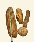 Artificial Bread Loaves And Rolls Food Display Prop Faux Food Lot Of 4