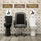 21  Black Tall Two Piece Toilet 1 28 Gpf Siphon Jet Flush  Soft-close Seat
