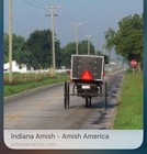 Kosciusko Co  Indiana 1970 Old Order Amish Buggy License Plate Horse Drawn   444