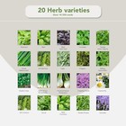 20 Herb Seeds Variety Pack - 14 000 Non Gmo Herb Seeds For Planting - Garden See