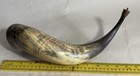 Antique Genuine Water Buffalo Drinking Horn W  Brass Finding 13 5   l