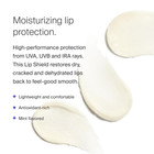 Play Lip Shield Spf 30 With Coconut - Pack Of 2 - Moisturizing Lip Treatment For
