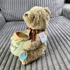 Disney Baby Winnie The Pooh Nursery Musical Wind Up 12inch Plush Teddy Bear New 