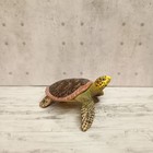 Miniature Hawksbill Sea Turtle Realistic 2  Mini Figure Toy Dollhouse Aquarium