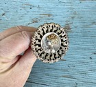 Antique Victorian Vintage Large Gold Toned Lady Woman Filigree Hat Pin 10   