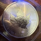 Royal Canadian Mint 2020 Canadian Maple Leaf 1 Oz  9999 Silver Coin