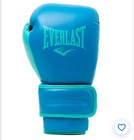 Everlast Powerlock 2r Training Hook   Loop Boxing Gloves 16 Oz - Blue