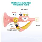Toddler Musical Instruments Toy Trumpet  Harmonica  Recorder Flute For Kids B   