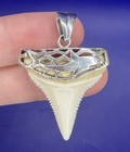 Modern Great White Shark Tooth Pendant With Incredible Silver-work Shark Teeth