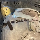 Pusheen Plush Affogato Stuffed Cat Gund Summer 2022 Nip 6 Inch