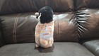 Webkinz Baby Penguin - Hm387 New  Sealed Code Nwt