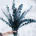 Preserved Dried Eucalyptus Stems Bundle - 12 Pcs Blue Eucalyptus For Shower     